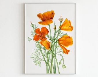 California Poppy Flower Wall Art - Digital Download