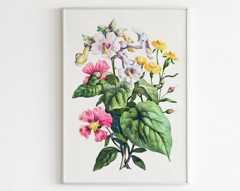 Unicorn Plant (Martynia) Flower Wall Art - Digital Download