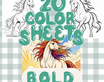 Bold Line Horse Coloring Pages Printable Equine Art Coloring Sheets for Adults and Kids Easy to Color Horse Lover Digital Download PDF