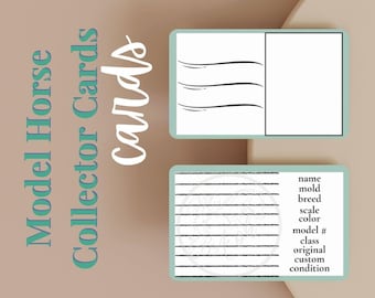 May include: Two rectangular collector cards with teal borders. The top card features three black wavy lines on the left and a blank white space on the right. The bottom card has horizontal black lines and text including name, mold, breed, scale, color, model #, class, original, custom, and condition.