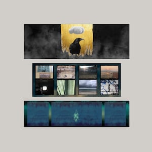 May include: A black crow stands on a gold and black background with a white cloud above it. The background is a dark, smoky, abstract design.