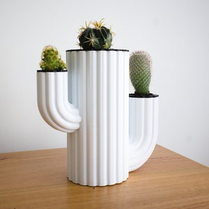 Cactus Planter | Succulent & Cactus Shaped Planter | Gift For Indoor Plant Lovers