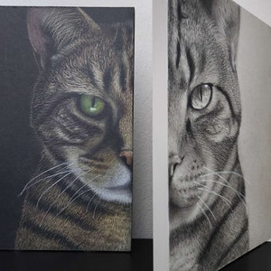 Split Face Tabby Cat Pet Portrait, charcoal on grey toned paper and colored pencil on black paper