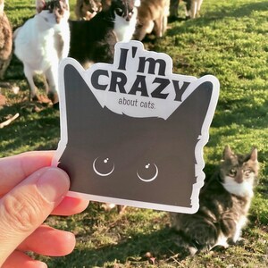 I'm Crazy... About Cats-vinyl kattensticker | Kattenouders | Kattenliefhebbers | Kattencadeaus