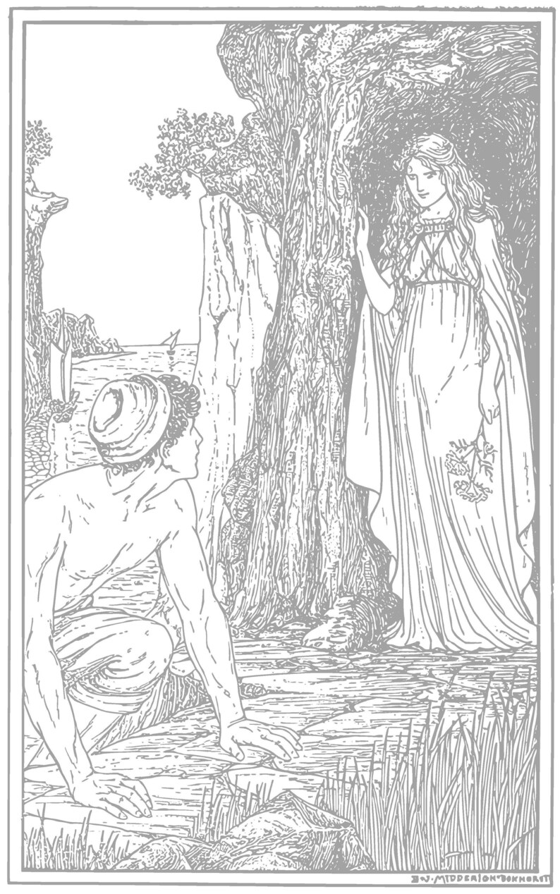 Vintage Pages for Coloring Classic Digital Bundle Download Hand Drawn