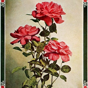 Klassische Blumensträuße Postkarten Pack Digital Download Gruß und Vintage Handgezeichnet KEINE AI Kinder und Erwachsene!