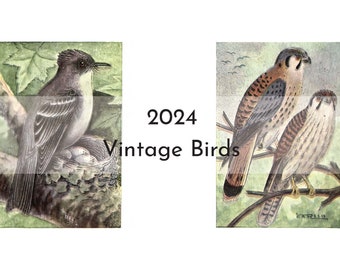 Calendario 2024 de pájaros antiguos