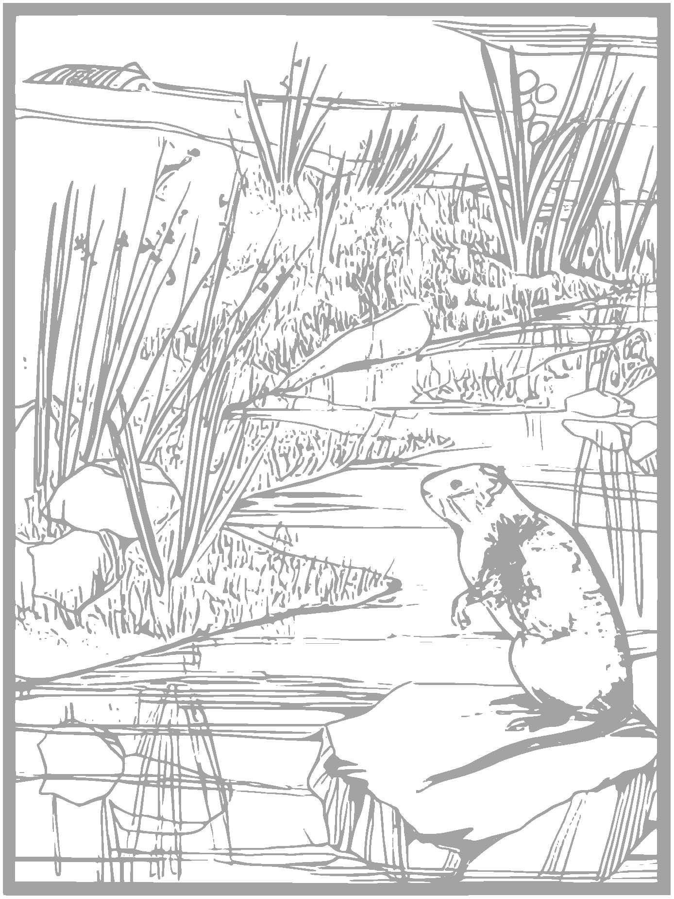 Vintage Animal Coloring Pages | Hand-drawn Illustrations (digital ...