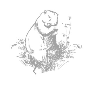 Gopher Life for Coloring Vintage Digital Bundle Download Hand Drawn ...