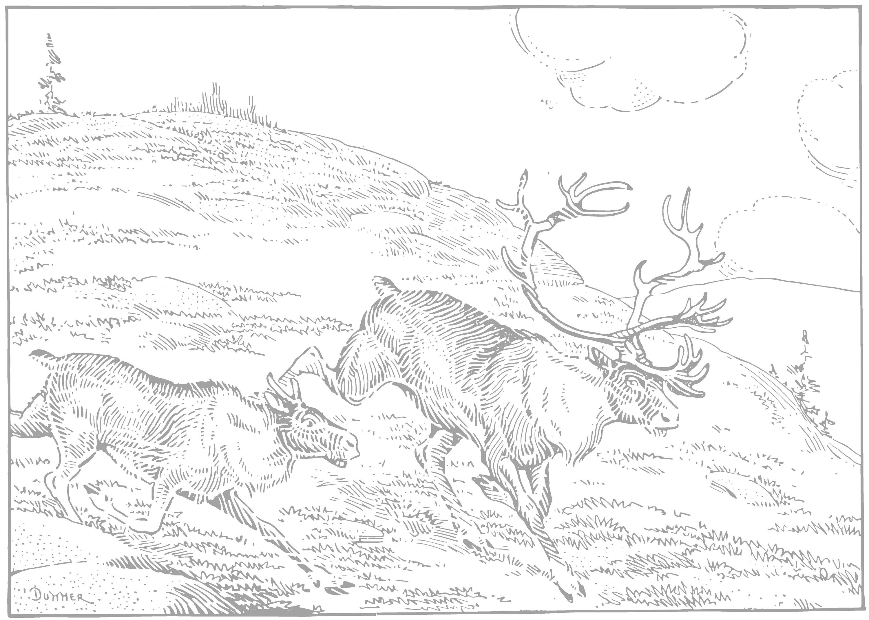 Vintage Animal Coloring Pages, Hand-drawn Illustrations (digital ...