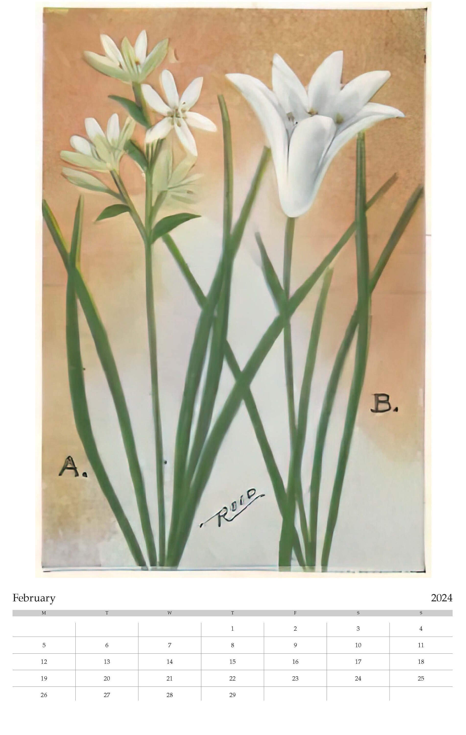 Vintage Flowers 2024 Calendar Etsy