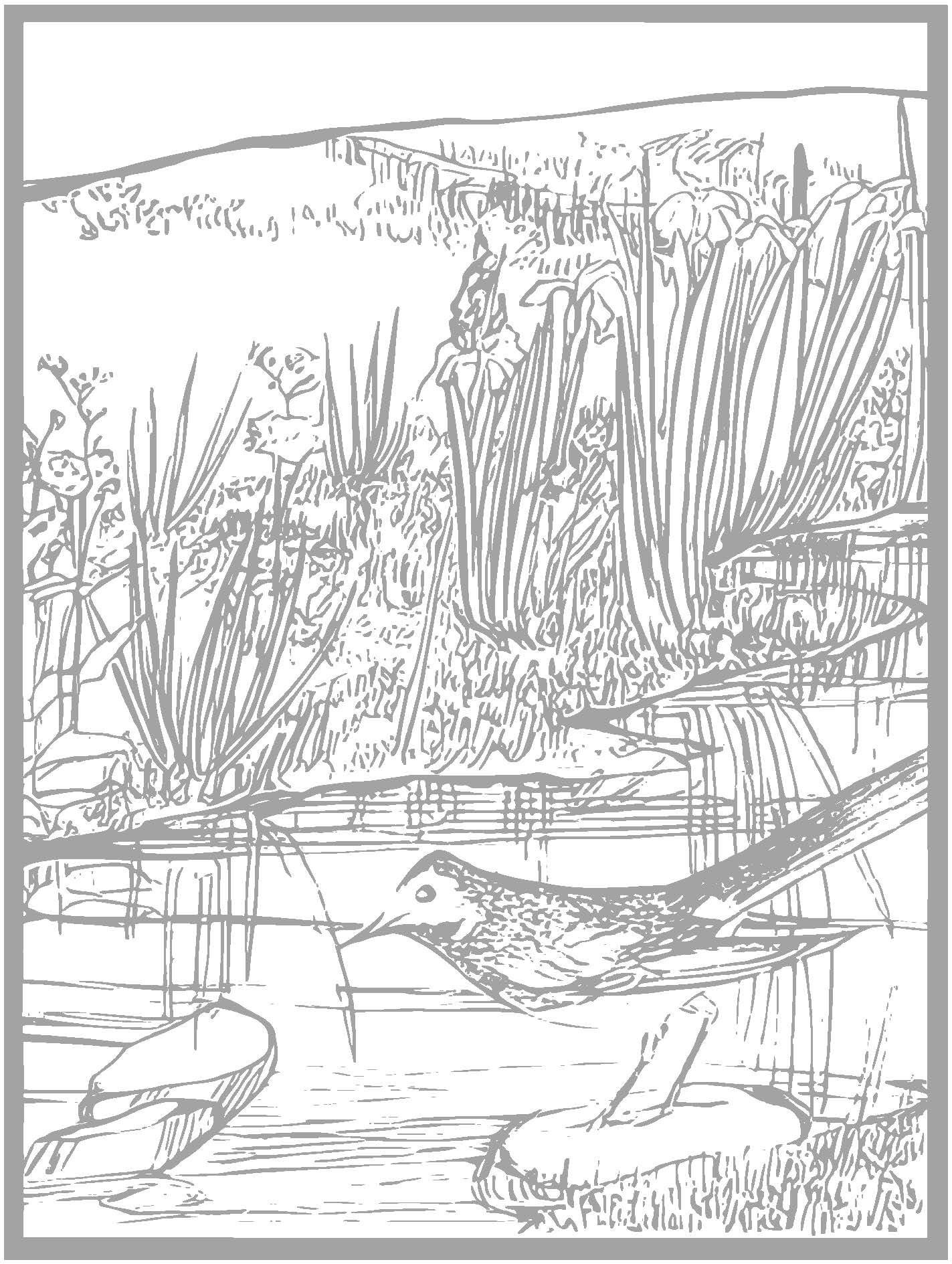 Vintage Animal Coloring Pages | Hand-drawn Illustrations (digital ...