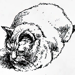 Pacchetto di cartoline di gatti Download digitale Saluto e disegnato a mano vintage NO AI bambini e adulti!
