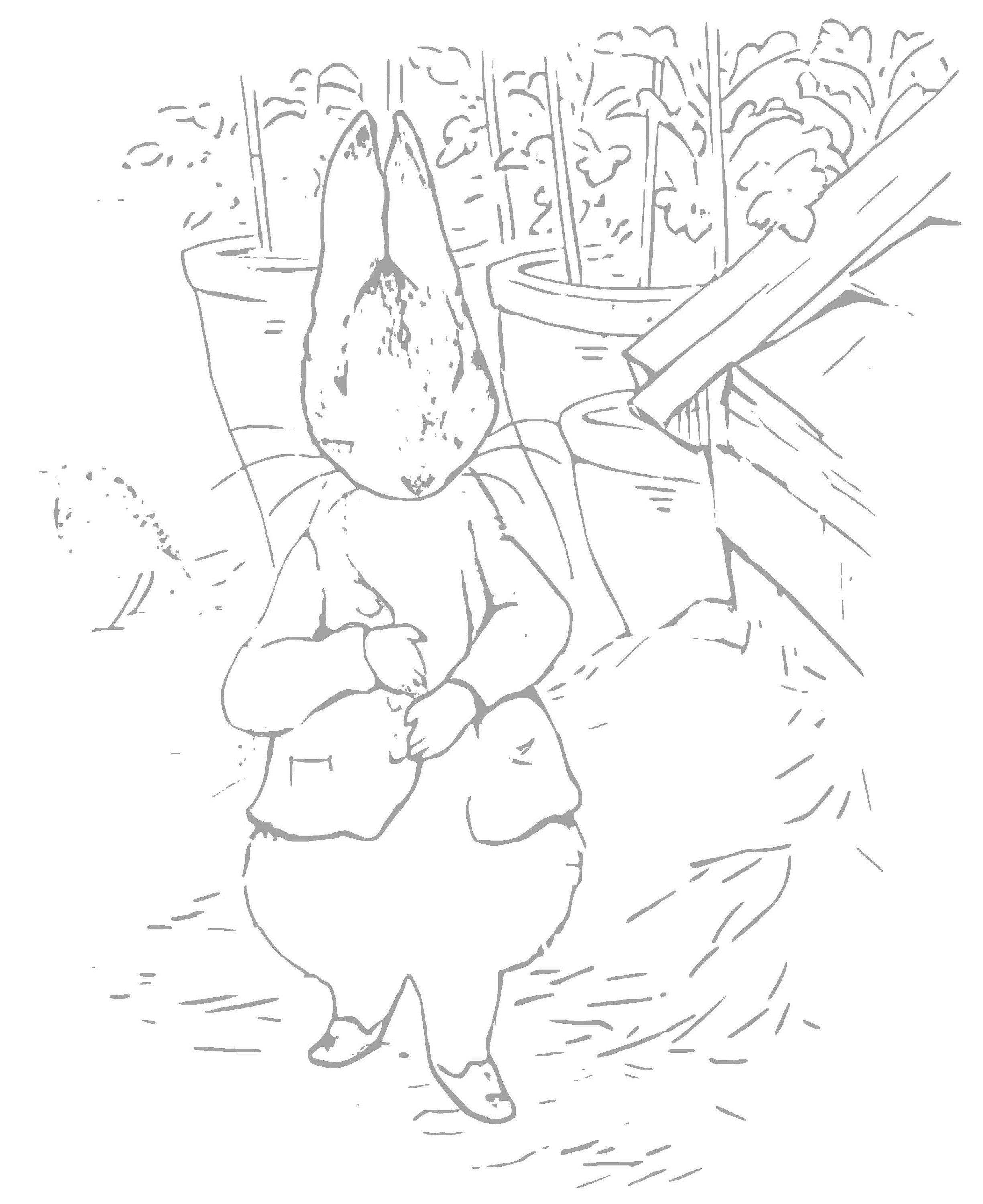 Peter Rabbit Drawings Spring Peter Rabbit Coloring Book, Spring Easter Vintage Illustrations ...