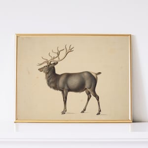Vintage Christmas Reindeer Artwork Digital Download - Single Image - Holiday Printable