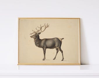 Vintage Christmas Reindeer Artwork Digital Download - Single Image - Holiday Printable