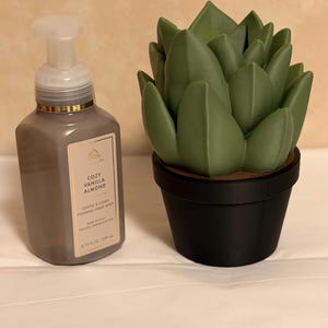 May include: A gray foaming hand soap bottle with gold accents and the text "Cozy Vanilla Almond" next to a green succulent in a black pot. The soap bottle contains 8.75 fl oz / 259 ml.