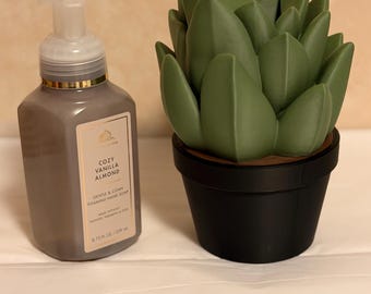 Succulent Bath and Body soap holder