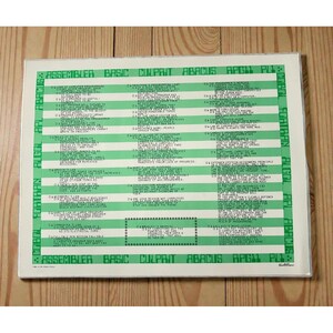 May include: A framed print with green and white horizontal stripes and text. The text includes the words ASSEMBLER, BASIC, CULPAIT, ABACUS, APGII, PLI, COBOL, FORTAAN, ALGOL, and APL. The print is in a clear plastic sleeve.