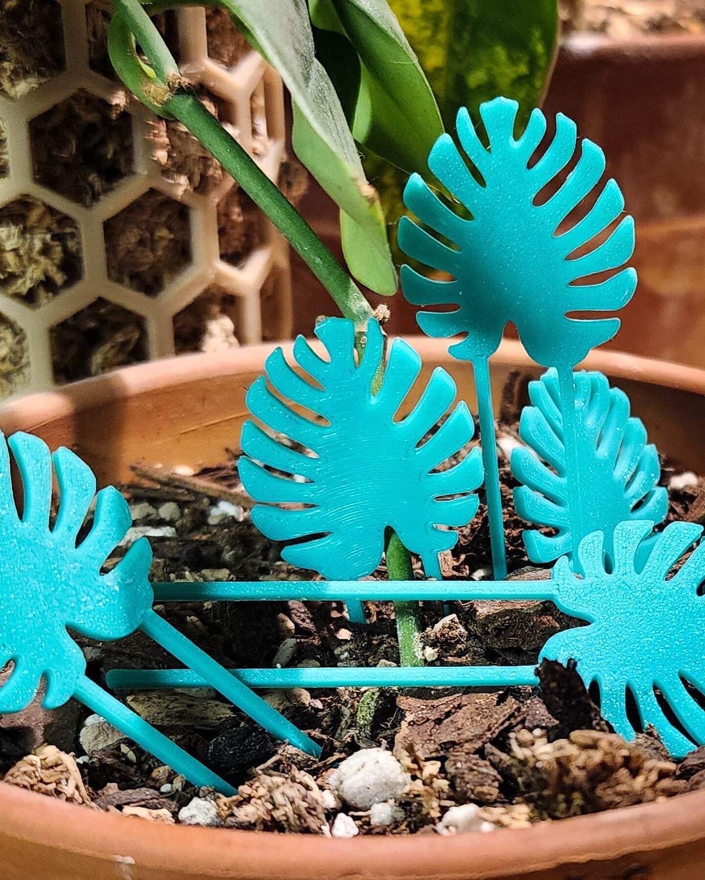 Moss Pole Pins propagation Pins Plant Accessories greening Etsy