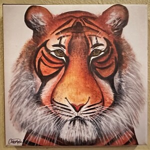 Tiger Canvas Print 8&quot;x 8&quot; from original acrylic painting