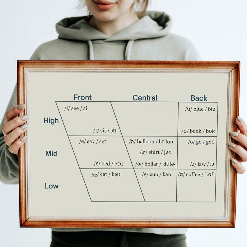 English Vowel Quadrilateral IPA Chart Poster | Linguistics Speech ...