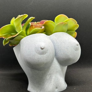 Succulent flower pot - fake flower pot - pen holder - pencil holder - funny - decor - desk - gift
