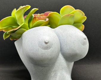 Busty Succulent Planter – Funny Pen & Pencil Holder, Desk Decor
