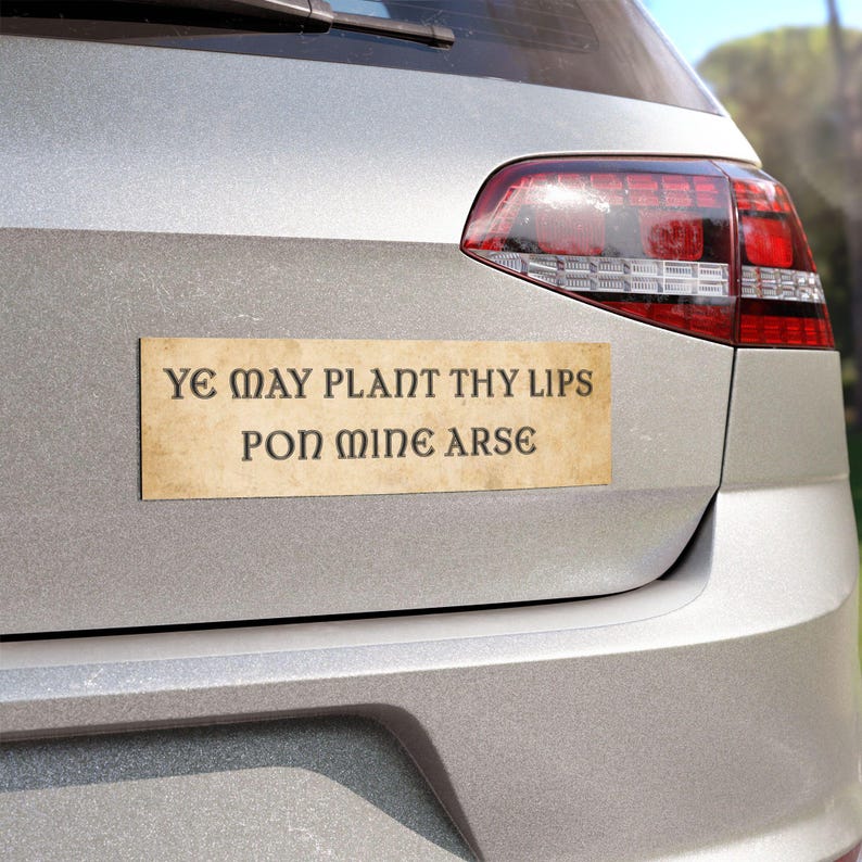 Car Magnet, Bumper Magnet, Medieval Bumper Sticker, Funny Bumper Magnet, Funny Car Magnets, Ren Fair, Renfaire, Unhinged Bumper Sticker bild 4