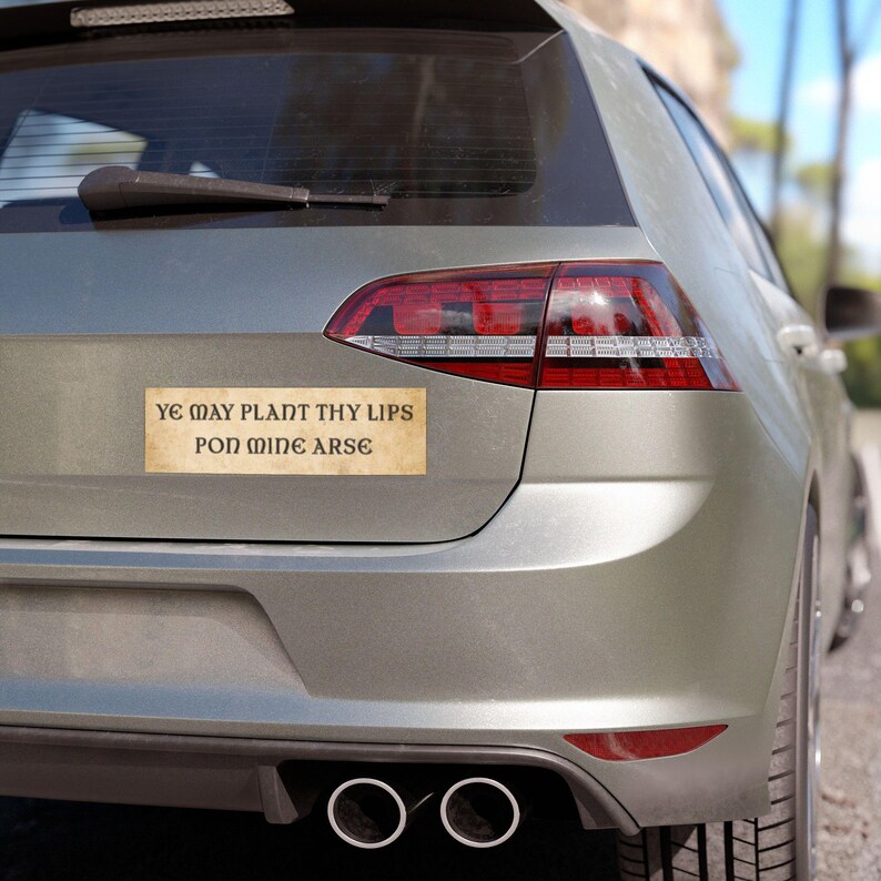 Car Magnet, Bumper Magnet, Medieval Bumper Sticker, Funny Bumper Magnet, Funny Car Magnets, Ren Fair, Renfaire, Unhinged Bumper Sticker bild 3