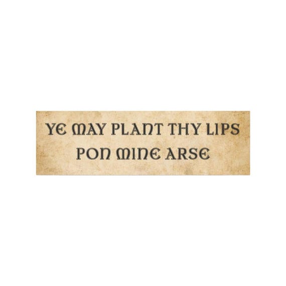 Car Magnet, Bumper Magnet, Medieval Bumper Sticker, Funny Bumper Magnet, Funny Car Magnets, Ren Fair, Renfaire, Unhinged Bumper Sticker