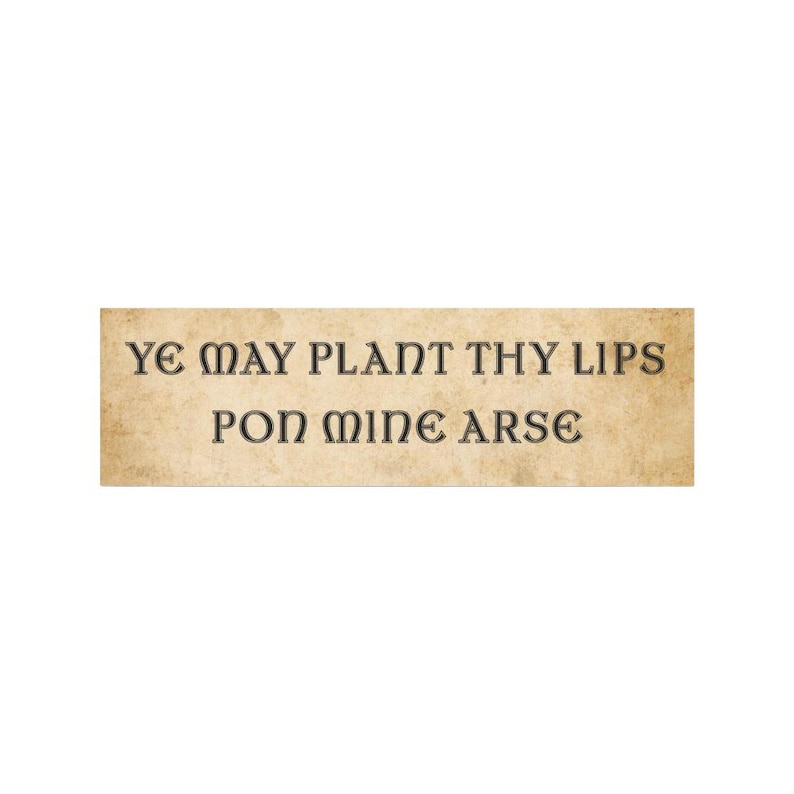 Car Magnet, Bumper Magnet, Medieval Bumper Sticker, Funny Bumper Magnet, Funny Car Magnets, Ren Fair, Renfaire, Unhinged Bumper Sticker bild 1
