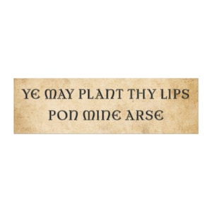 Car Magnet, Bumper Magnet, Medeival Bumper Sticker, Funny Bumper Magnet, Funny Car Magnets, Ren Fair, Renfaire, Unhinged Bumper Sticker