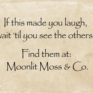 Car Magnet, Bumper Magnet, Medieval Bumper Sticker, Funny Bumper Magnet, Funny Car Magnets, Ren Fair, Renfaire, Unhinged Bumper Sticker bild 5