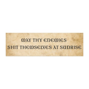 Car Magnet, Bumper Magnet, Medeival Bumper Sticker, Funny Bumper Magnet, Funny Car Magnets, Ren Fair, Renfaire, Offensive Bumper Sticker