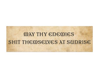 Car Magnet, Bumper Magnet, Medieval Bumper Sticker, Funny Bumper Magnet, Funny Car Magnets, Ren Fair, Renfaire, Offensive Bumper Sticker