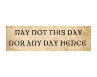 Car Magnet, Bumper Magnet, Medieval Bumper Sticker, Funny Bumper Magnet, Funny Car Magnets, Ren Faire, Renfaire, Funny Gifts, Medieval Gifts