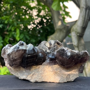 Esemplare di quarzo fumé a grappolo - 20x12x8 cm per radicamento, protezione e crescita spirituale - Decorazione con pietre preziose naturali