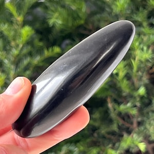 Pode incluir: Uma pedra preta polida e alongada com uma superfície lisa e brilhante. A pedra é segurada em uma mão, com um fundo verde desfocado de folhagem. A forma é arredondada em ambas as extremidades.