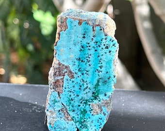 May include: A rough, irregular shaped turquoise stone with a blue-green color and brown matrix. The stone has a speckled appearance with small black inclusions.