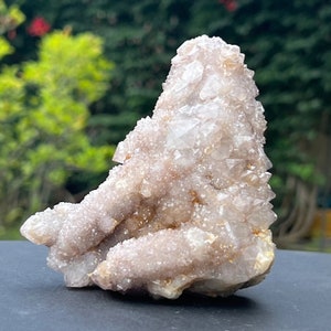 11 cm Large Spirit Cactus Quartz (from South Africa) model 15, Spirit quartz, mineral specimen