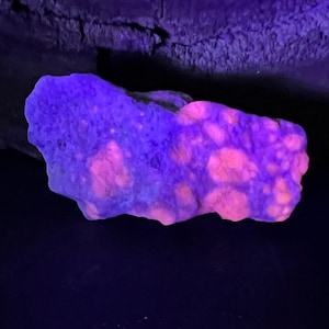 May include: A fluorescent rock specimen with a rough, textured surface. The rock glows with a vibrant purple and pink coloration under UV light, showcasing its unique mineral composition. The rock's irregular shape adds to its natural appeal.