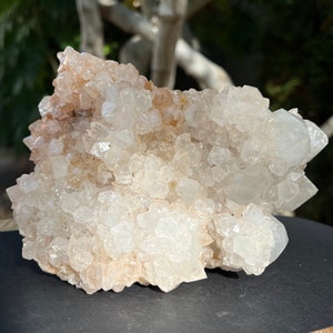 Rare Extra Large Spirit Cactus Quartz (from South Africa) model 1AS, Spirit Amethyst quartz, mineral specimen