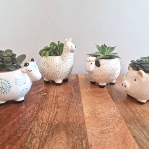 Set of 4 Ceramic Indoor Animal Planter Pots: Pig, Sheep, Cow, Lalma / Alpaca