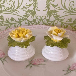 Vintage Royal Aynsley Yellow Rose Salt Pepper Shaker Set, Floral English Porcelain, Cottagecore Kitchen Decor, Collectible, Gift for Hostess