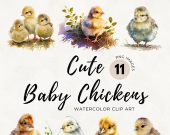 Watercolor Baby Chicken Clipart: Farm Animal PNG Set (Digital Download)