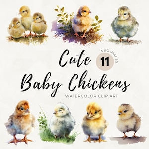 Watercolor Baby Chicken Clipart: Farm Animal PNG Set (Digital Download)