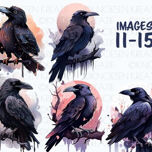 Crow and raven clipart, Gothic bird graphics, Witchy crow and raven designs,