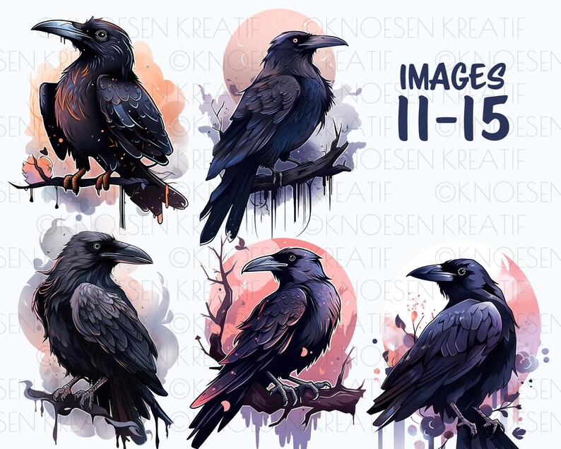 Crow and raven clipart, Gothic bird graphics, Witchy crow and raven designs,