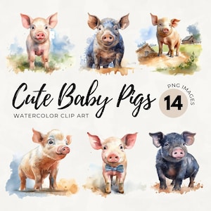 Baby Pig Clipart | Piglet PNG | Cute Pig | Baby Animals Prints | Farm Animals Clipart | Watercolor Pig | Commercial License